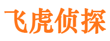 禹城侦探公司